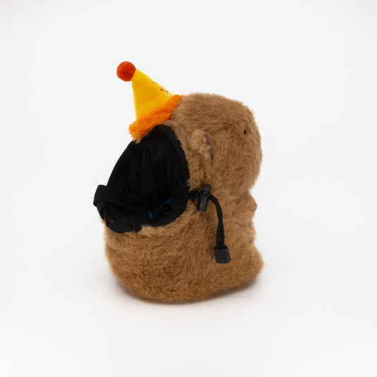 Capybara Birthday Chalk Bag